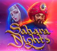 Sahara Nights